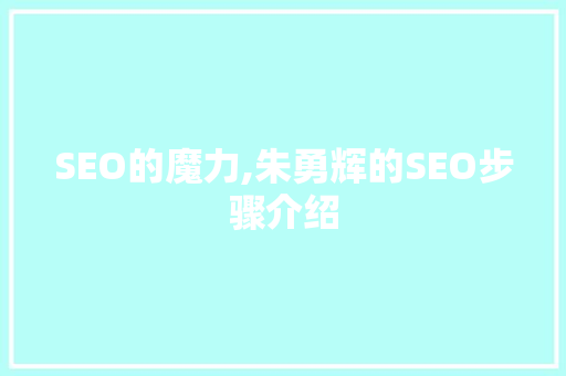 SEO的魔力,朱勇辉的SEO步骤介绍