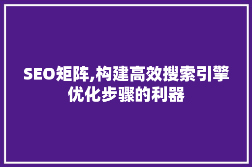 SEO矩阵,构建高效搜索引擎优化步骤的利器