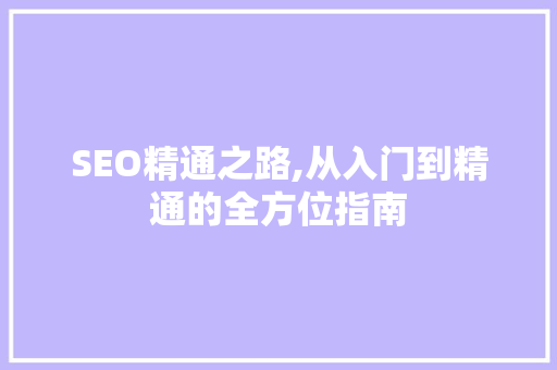 SEO精通之路,从入门到精通的全方位指南