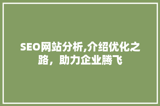 SEO网站分析,介绍优化之路，助力企业腾飞