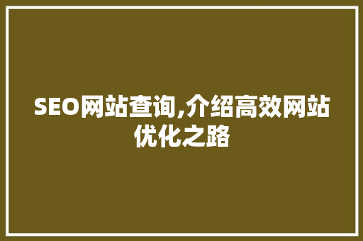 SEO网站查询,介绍高效网站优化之路