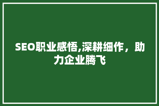 SEO职业感悟,深耕细作，助力企业腾飞