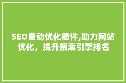SEO自动优化插件,助力网站优化，提升搜索引擎排名