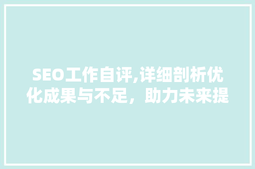 SEO工作自评,详细剖析优化成果与不足，助力未来提升