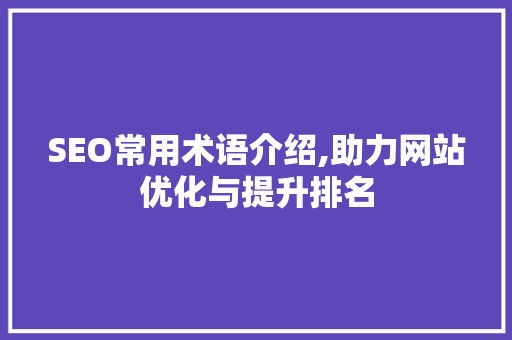 SEO常用术语介绍,助力网站优化与提升排名