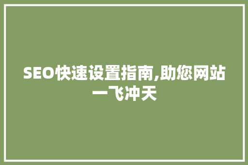 SEO快速设置指南,助您网站一飞冲天