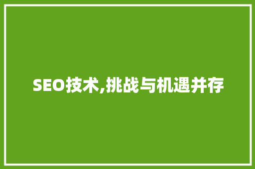 SEO技术,挑战与机遇并存