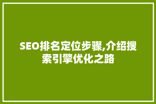 SEO排名定位步骤,介绍搜索引擎优化之路