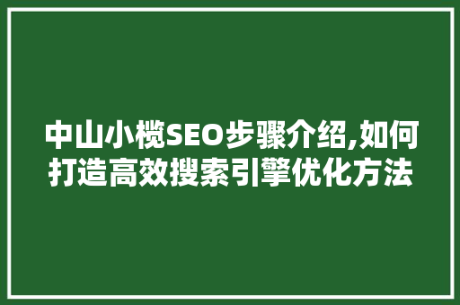 中山小榄SEO步骤介绍,如何打造高效搜索引擎优化方法
