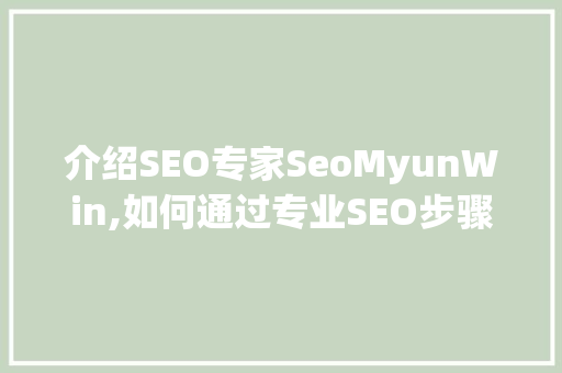 介绍SEO专家SeoMyunWin,如何通过专业SEO步骤助力企业提升在线影响力