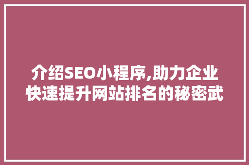 介绍SEO小程序,助力企业快速提升网站排名的秘密武器