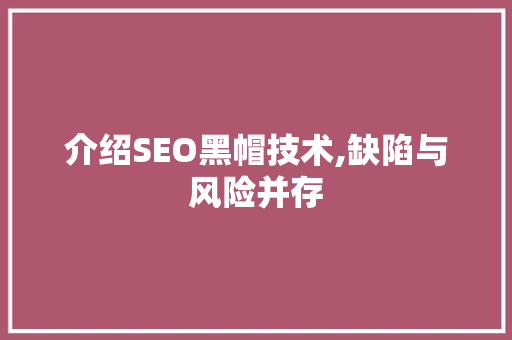 介绍SEO黑帽技术,缺陷与风险并存