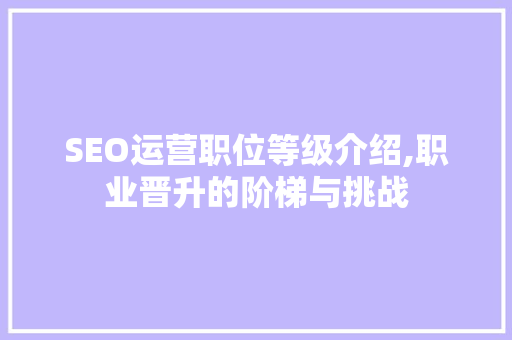 SEO运营职位等级介绍,职业晋升的阶梯与挑战  第1张