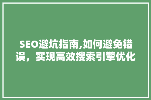 SEO避坑指南,如何避免错误，实现高效搜索引擎优化