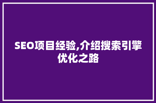 SEO项目经验,介绍搜索引擎优化之路