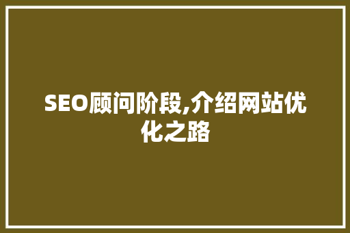 SEO顾问阶段,介绍网站优化之路