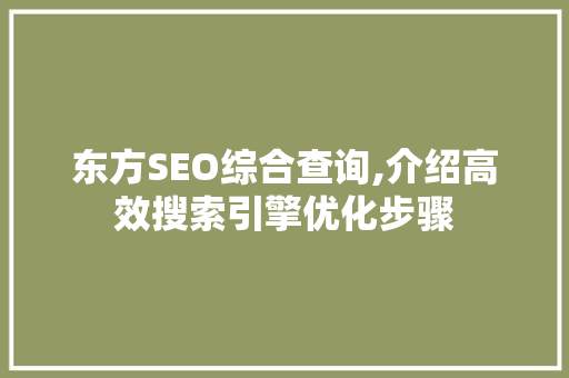 东方SEO综合查询,介绍高效搜索引擎优化步骤