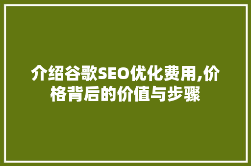 介绍谷歌SEO优化费用,价格背后的价值与步骤