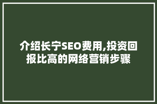 介绍长宁SEO费用,投资回报比高的网络营销步骤
