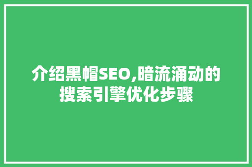 介绍黑帽SEO,暗流涌动的搜索引擎优化步骤