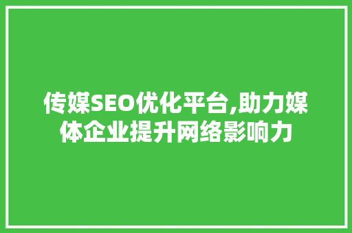 传媒SEO优化平台,助力媒体企业提升网络影响力