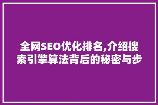 全网SEO优化排名,介绍搜索引擎算法背后的秘密与步骤