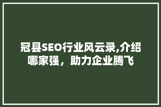 冠县SEO行业风云录,介绍哪家强，助力企业腾飞