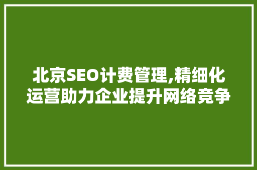 北京SEO计费管理,精细化运营助力企业提升网络竞争力