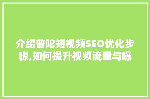 介绍普陀短视频SEO优化步骤,如何提升视频流量与曝光度