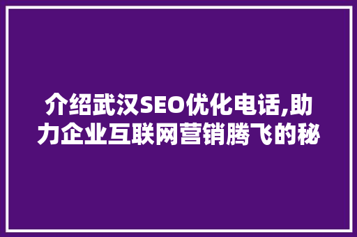 介绍武汉SEO优化电话,助力企业互联网营销腾飞的秘密武器