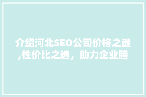 介绍河北SEO公司价格之谜,性价比之选，助力企业腾飞