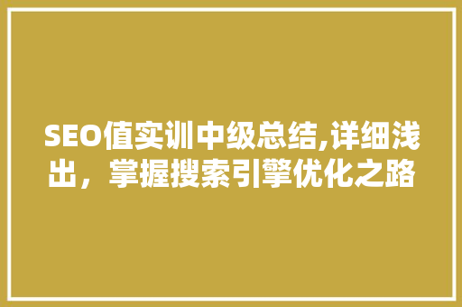 SEO值实训中级总结,详细浅出，掌握搜索引擎优化之路