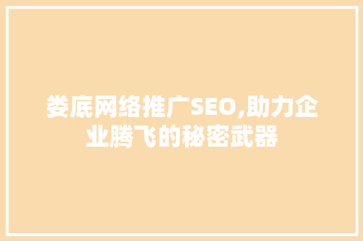 娄底网络推广SEO,助力企业腾飞的秘密武器