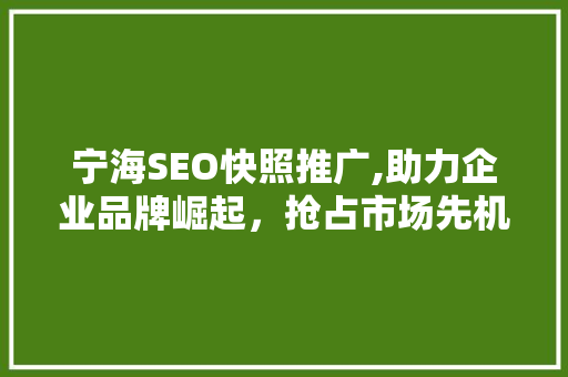 宁海SEO快照推广,助力企业品牌崛起，抢占市场先机
