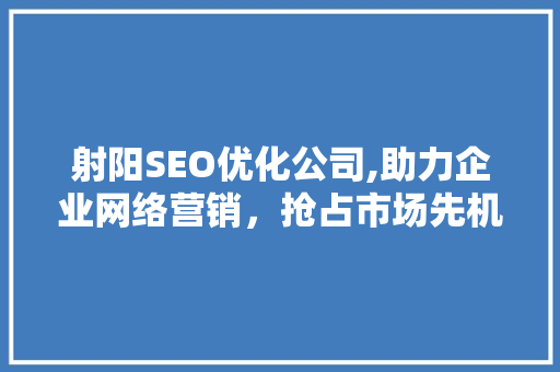 射阳SEO优化公司,助力企业网络营销，抢占市场先机