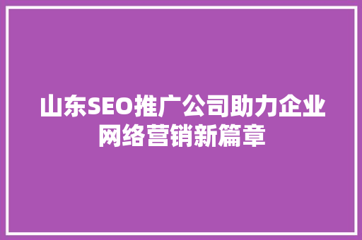 山东SEO推广公司助力企业网络营销新篇章