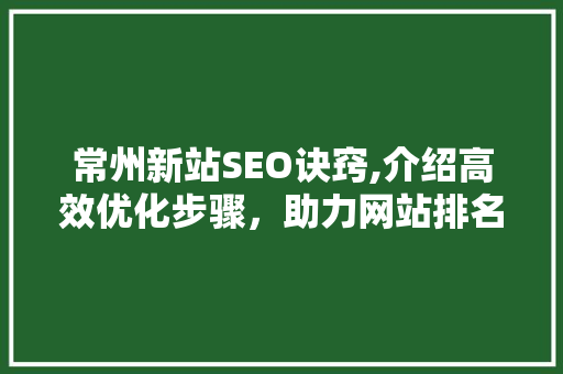 常州新站SEO诀窍,介绍高效优化步骤，助力网站排名提升