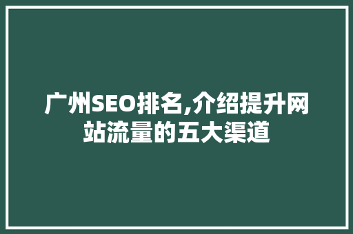 广州SEO排名,介绍提升网站流量的五大渠道