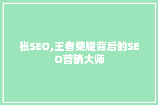 张SEO,王者荣耀背后的SEO营销大师