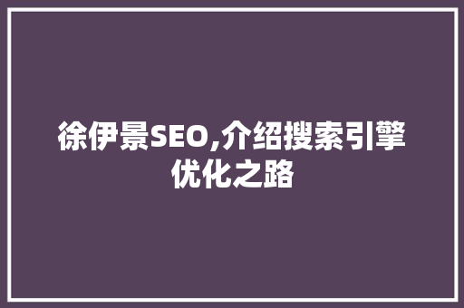 徐伊景SEO,介绍搜索引擎优化之路