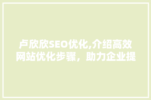 卢欣欣SEO优化,介绍高效网站优化步骤，助力企业提升网络竞争力