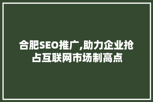 合肥SEO推广,助力企业抢占互联网市场制高点