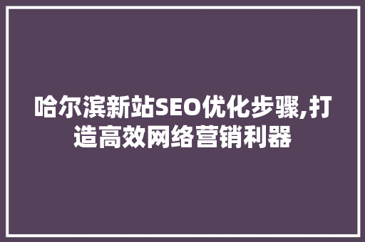 哈尔滨新站SEO优化步骤,打造高效网络营销利器