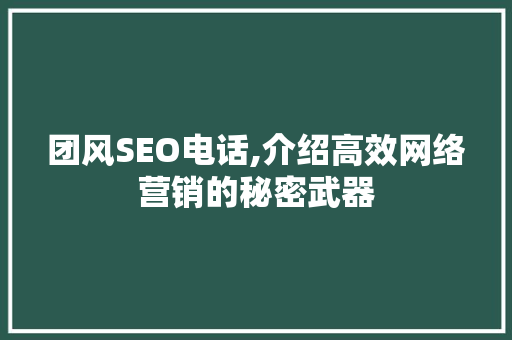 团风SEO电话,介绍高效网络营销的秘密武器