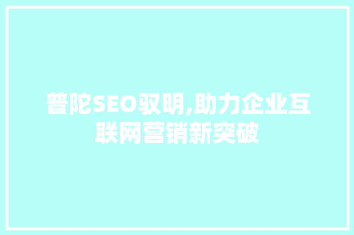 普陀SEO驭明,助力企业互联网营销新突破