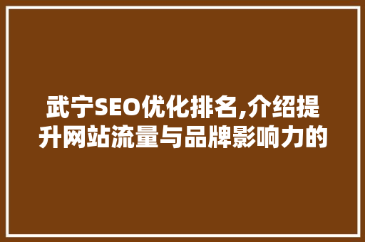 武宁SEO优化排名,介绍提升网站流量与品牌影响力的方法  第1张