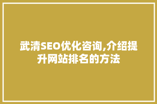 武清SEO优化咨询,介绍提升网站排名的方法