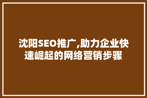 沈阳SEO推广,助力企业快速崛起的网络营销步骤