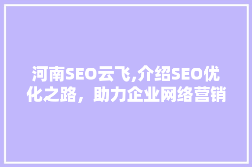 河南SEO云飞,介绍SEO优化之路，助力企业网络营销腾飞