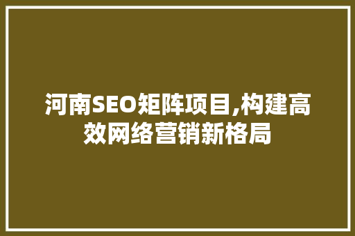 河南SEO矩阵项目,构建高效网络营销新格局